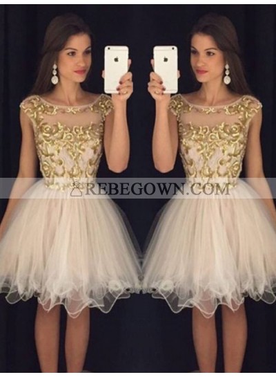 A-Line Princess Sleeveless Scoop Paillette Tulle Short Homecoming Dresses