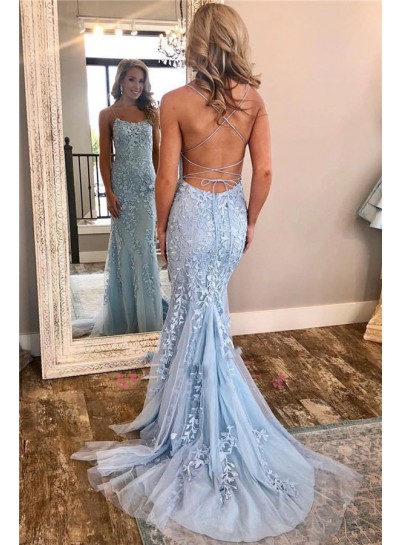2022 Sexy Sheath Light Sky Blue and Appliques Lace Up Back Backless Tulle Long Prom Dresses