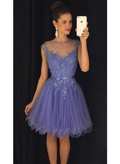 Cap Sleeve Sheer Jewel A Line Pleated Appliques Organza Flowers Homecoming Dresses