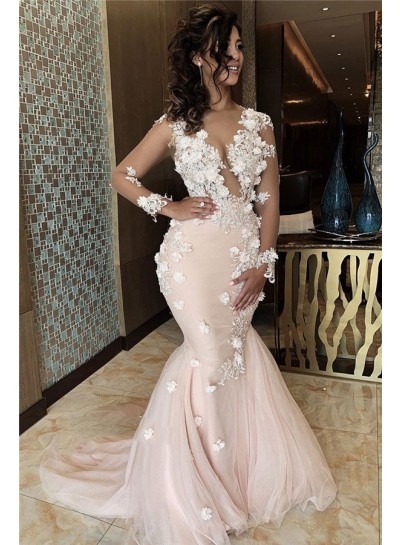 2024 Charming Prom Dresses Pearl Pink Tulle Long Sleeves Floral Backless