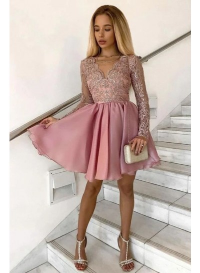 2024 A-Line Appliques Long Sleeves Dusty Rose Chiffon Crew Neck Short Homecoming Dresses